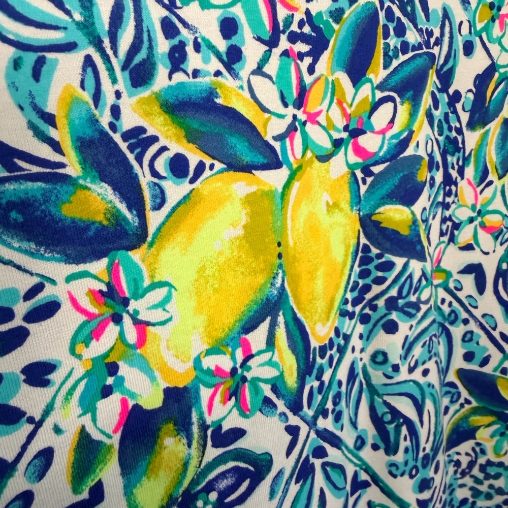 Lilly Pulitzer Ophelia Swing Dress, Zest for Life, size M - Picture 4 of 4